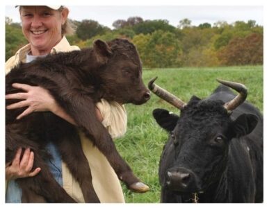 ‘Blind Hog and Acorn’ Podcast Brings Ozark Homesteading to Listeners Image